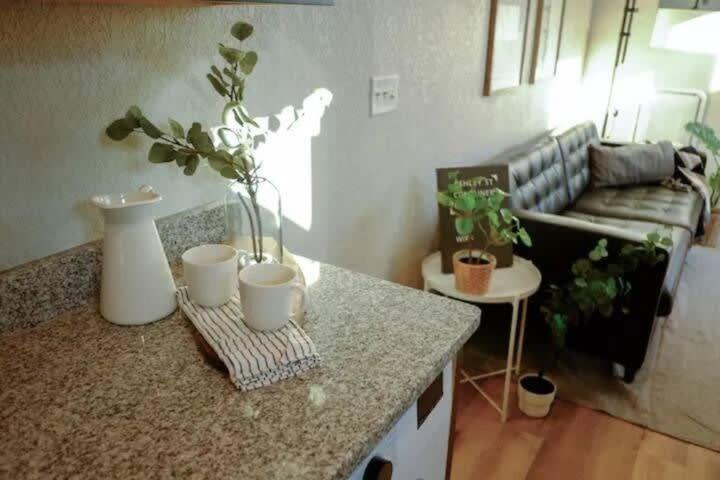 Hip Container Apt - 5 Min Walk To Tiaa Bank Джексонвілл Екстер'єр фото